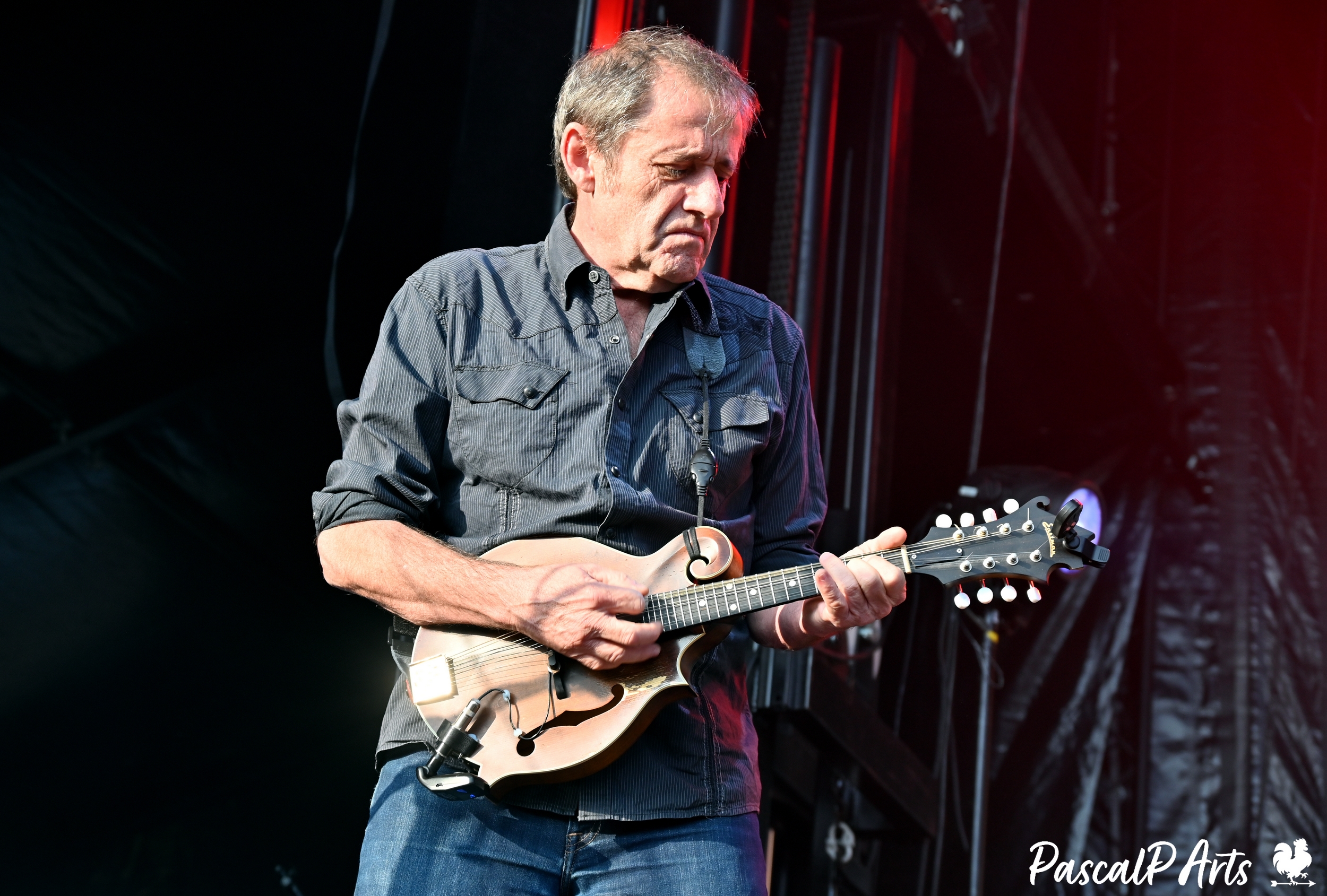 PP WH 0008 Pedro Lpez dit Pedro Mandolin